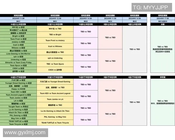 dota 有什么比赛-DOTA比赛盛宴，多种赛事竞相绽放-dota 有什么比赛